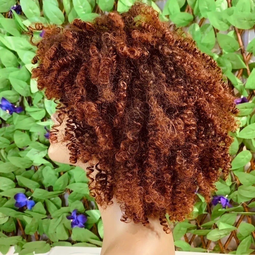 Short Curly Synthetic Wig Black Brown Burgundy Basic Cap NWOT